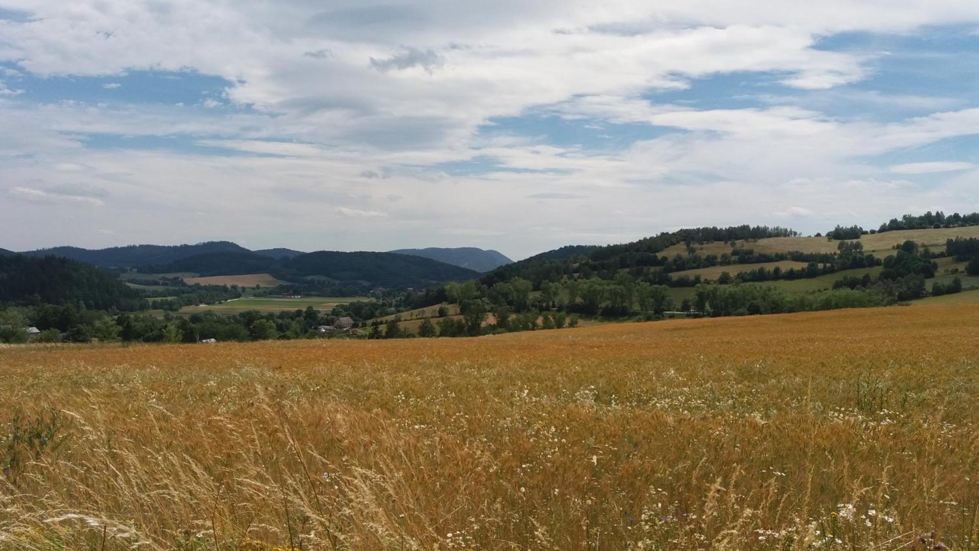 Maraska Holiday House Kamienna Gora Esterno foto