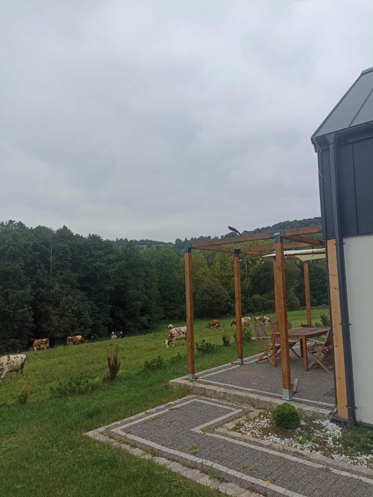 Maraska Holiday House Kamienna Gora Esterno foto